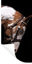 Muurstickers - Sticker Folie - Paard - Halster - Vlekken - 40x80 cm - Plakfolie - Muurstickers Kinderkamer - Zelfklevend Behang - Zelfklevend behangpapier - Stickerfolie