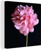 Tableau Tableau Pivoine rose en fleur - 20x20 cm - Décoration murale