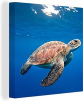 Canvas Schilderij Schildpad in de oceaan - 50x50 cm - Wanddecoratie