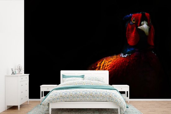 Faisan photographié dans l'obscurité Papier peint photo vinyle 420x280 cm - Tirage photo sur papier peint