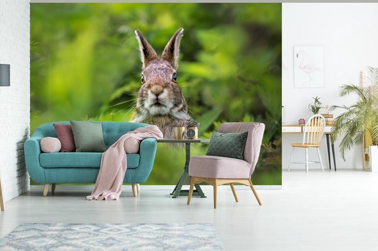 Papier peint Papier peint photo en vinyle - Lapin vigilant largeur 360 cm x hauteur 260 cm - Tirage photo sur papier peint (disponible en 7 tailles)