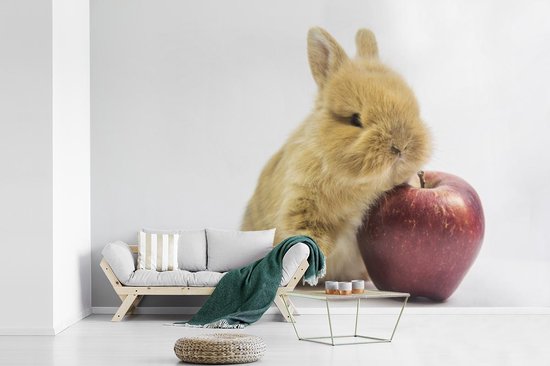 Papier peint photo peint photo vinyle - Bébé lapin avec une pomme largeur 450 cm x hauteur 300 cm - Tirage photo sur papier peint (disponible en 7 tailles)