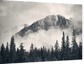Misty Mountain Forest - Foto op Dibond - 90 x 60 cm