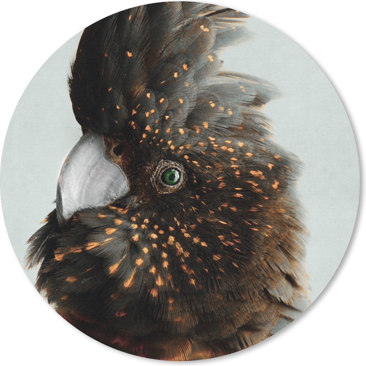 Muismat rond 20x20 cm - Mousepad Kaketoe - Oranje - Bruin - Ronde muismatten