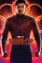 Pyramid Shang-Chi and the Legend of the Ten Rings Flex  Poster - 61x91,5cm