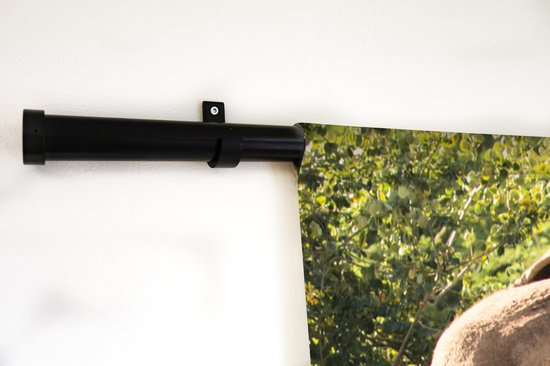 Tenture murale - Toile murale - Bébé éléphant qui marche avec sa mère - 120x120 cm - Tapisserie