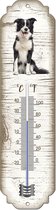 Thermometer: Bordercollie | Hondenras | Temperatuur binnen en buiten | -25 tot +45C