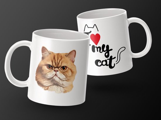 Mok Exotic Shorthair cat - kat - I love my cat - cat lovers - katten