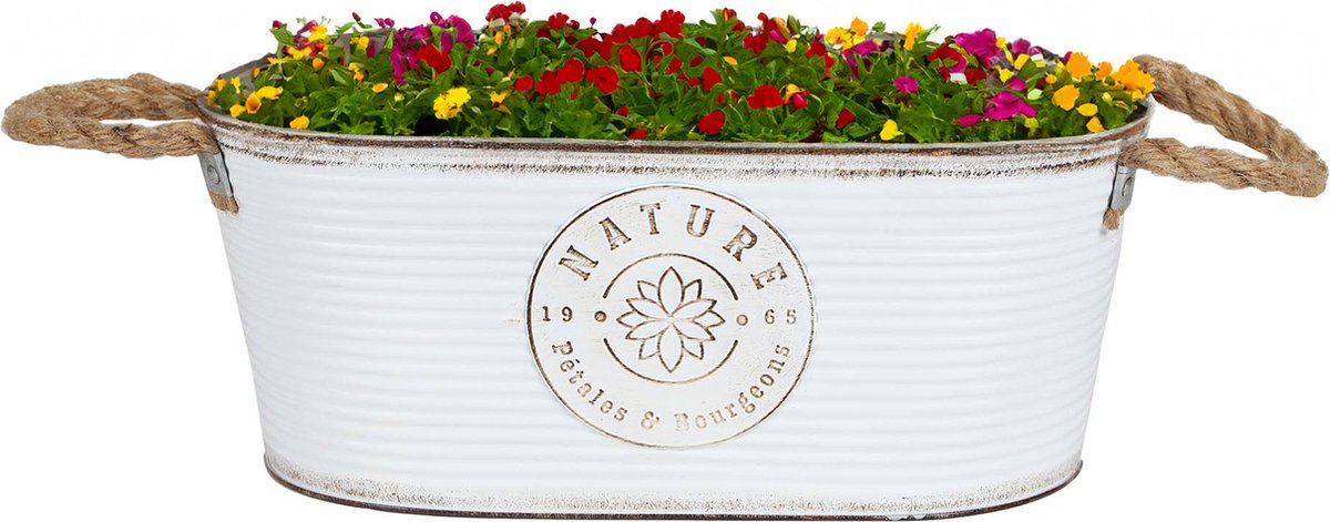 Goedkoopste Sunnydays Teil/plantenpot/bloempot - zink - ivoorwit - L35 x D19 x H14 cm
