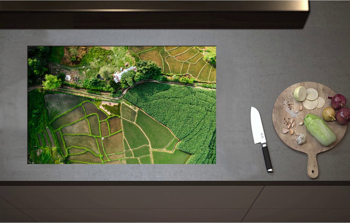 Inductieplaat Beschermer - Bovenaanzicht van een Landschap Gevuld met Rijstvelden - 80x51 cm - 2 mm Dik - Inductie Beschermer - Bescherming Inductiekookplaat - Kookplaat Beschermer van Wit Vinyl