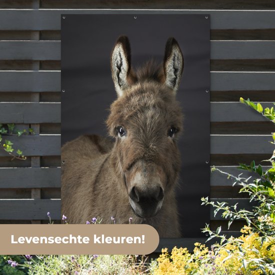 Portrait chevalet Affiche de jardin 100x200 cm - Toile de jardin / Toile d'extérieur / Peintures d'extérieur (décoration de jardin) XXL / Groot format!