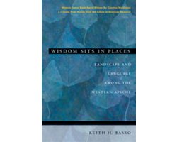 Omslag van Wisdom Sits In Places