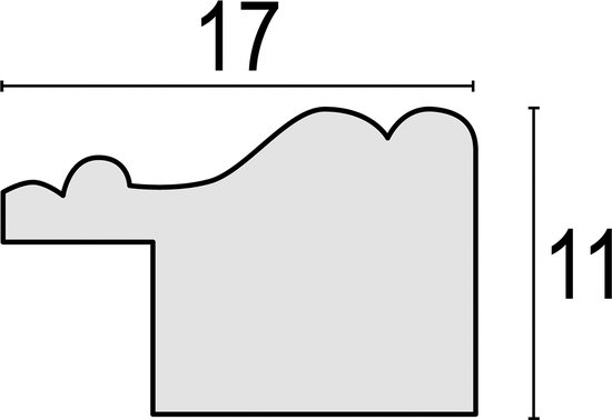Profieltekening van een gouden fotolijst met afmetingen 17 en 11.
