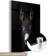 MuchoWow® Glasschilderij 120x160 cm - Schilderij acrylglas - Close-up ezel - Foto op glas - Schilderijen