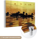 MuchoWow® Glasschilderij 180x120 cm - Schilderij acrylglas - Eend - Water - Zon - Foto op glas - Schilderijen