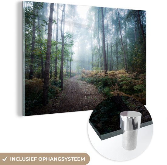 MuchoWow® Glasschilderij 180x120 cm - Schilderij acrylglas - Bos - Mist - Pad - Foto op glas - Schilderijen