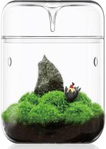 Kleine glazen plantenterrarium, 12 x 17,5 cm, vetplanten-luchtplanter, varenmos, micro-landschapsvaas voor de decoratie van huistuinen, kantoortafelblad, container met deksel, binnen-Wardian