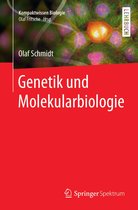 Kompaktwissen Biologie - Genetik und Molekularbiologie