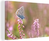 Tableau Toile Papillon - Bloem - Ailes - 60x40 cm - Décoration murale