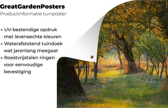 Tableau de jardin Paysage verdoyant en été en Roumanie - 80x60 cm - Poster jardin