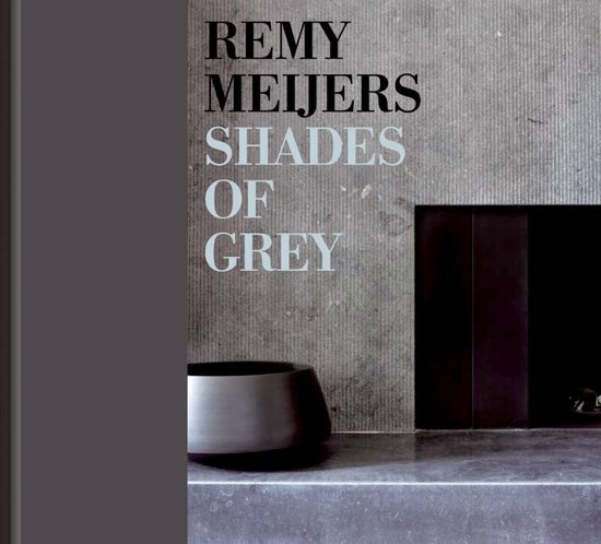 Cover van het boek 'Remy Meijers - Shades of Grey - 2-talige editie' van P. Geerts