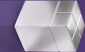 Sigel SI-GL197 Magneet Voor Glasbord 20x20x30mm Zilver, Extra Sterk 1 Stuk
