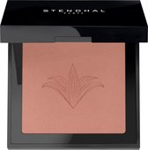 Stendhal Illuminating Blush 302 Brun Petra 5.5g