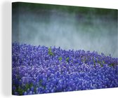 Canvas Schilderij Mist boven een veld Texas Bluebonnet bloemen - 120x80 cm - Wanddecoratie