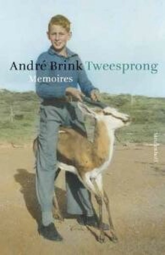 Tweesprong - Memoires - cover