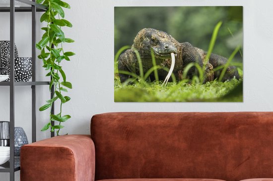 Tableau sur toile Dragon de Komodo se promenant - 80x60 cm - Décoration murale