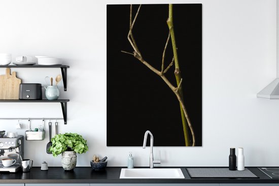 Tableau sur toile Phasme assis sur une branche - 90x140 cm - Décoration murale
