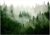 Zelfklevend fotobehang - Mountain Forest (Green).
