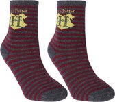 Grijs-bordeauxrode sokken - Harry Potter / 23-26