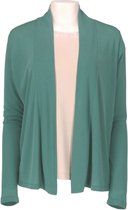 Riani Cardigan Groen