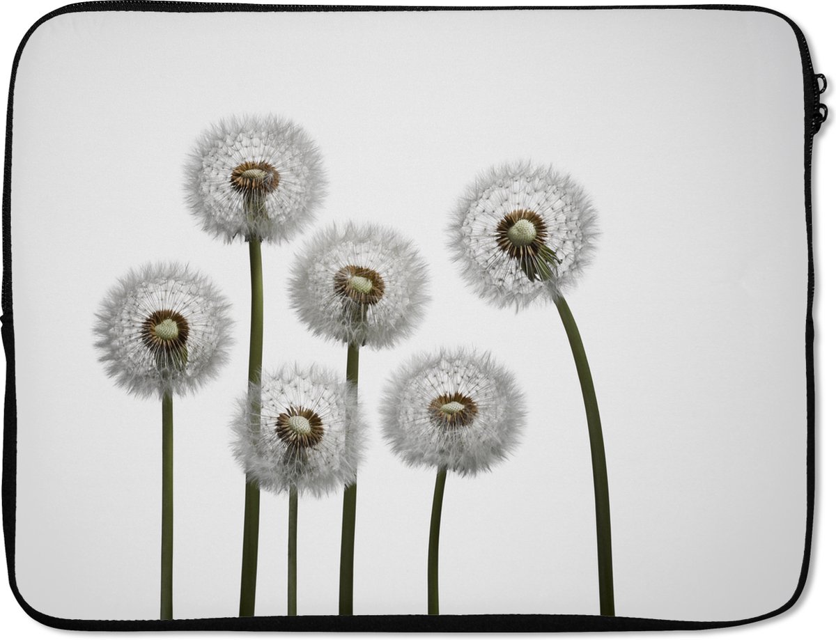 Laptophoes 17 inch - Paardenbloem - Illustratie - Zaden - Laptop sleeve - Binnenmaat 41x28 cm - Zwarte achterkant