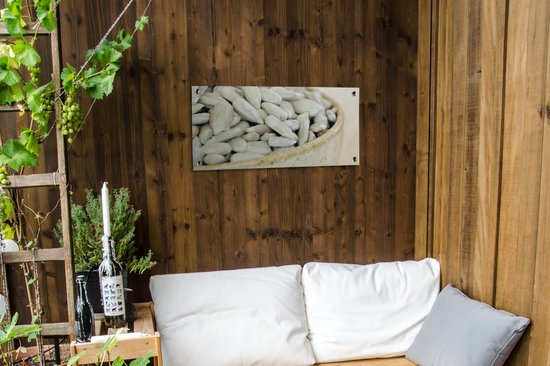 Poster de jardin Bol plein de graines de tournesol de couleur blanche - 80x40 cm - Décoration murale Outdoor - Poster de jardin - Toile de jardin - Poster de clôture - Tableau de jardin