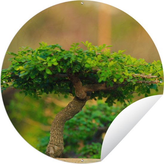 Tuincirkel Bonsai bomen in een rij - 120x120 cm - Ronde Tuinposter - Buiten XXL / Groot formaat!