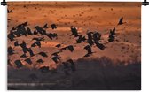 Wandkleed Kraanvogel - Een groep kraanvogels bij zonsondergang Wandkleed katoen 90x60 cm - Wandtapijt met foto