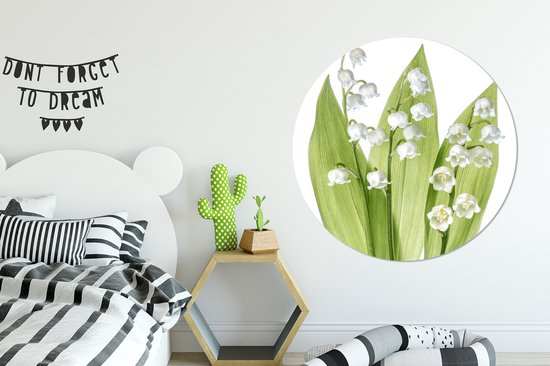 Wall Circle - Wall Circle Indoor - Une des fleurs blanches du Muguet - ⌀ 120 cm - Décoration murale - Peintures Ronds XXL