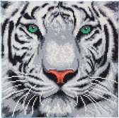 CRAFT Buddy White Tiger