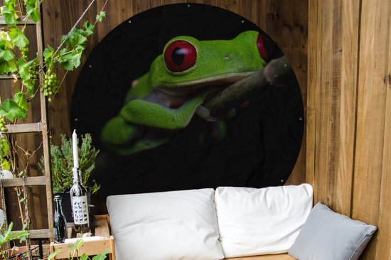 Tuincirkel Roodoogmakikikker op zwarte achtergrond - 150x150 cm - Ronde Tuinposter - Buiten