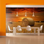 Fotobehangkoning - Behang - Vliesbehang - Fotobehang Graanveld - Graanvelden - Boeren Landschap - 400 x 309 cm