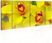 Schilderij - Orchids - intensity of yellow color.
