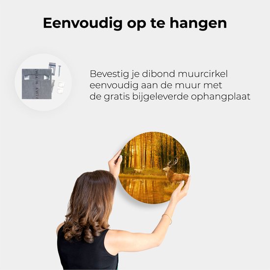 Cercle Mural Artaza Dibond - Deux Cerfs Dans La Forêt Près De L' Water - Ø 40 cm - Klein - Cercle Mural - Tableau Rond - Pour Intérieur Et Extérieur