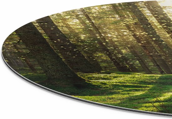 Cercle Mural Artaza Dibond - Forêt avec Mousse Verte au Terre - Ø 80 cm - Groot - Cercle Mural - Tableau Rond - Pour Intérieur et Extérieur