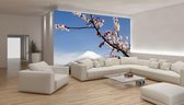 Flowers Mountain Snow Nature Photo Wallcovering