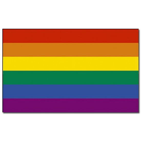 4x Regenboog Vlag 90 X 150 Cm Gaypride Vlag Bol Com