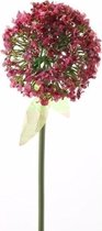 Kunstbloem Sierui/Allium roze/rood 70 cm