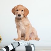 Muursticker hond kinderkamer | muurdecoratie dieren kinderkamer jongen en meisje |