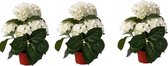 3x stuks Hortensia kunstplanten wit 36 cm - Kantoor of woon kamer planten